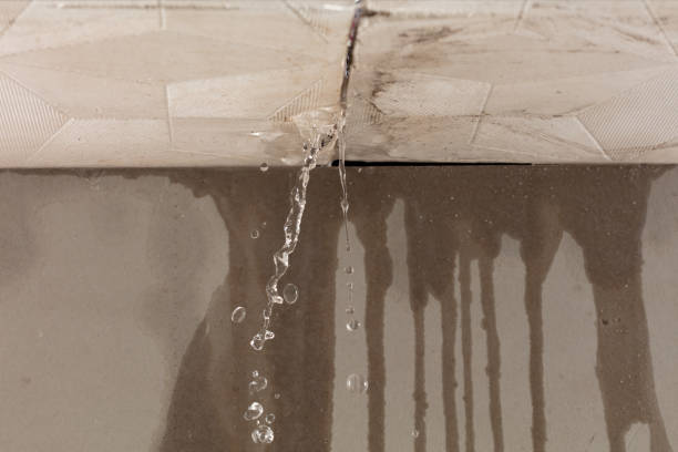 Professional Structural Drying technician working in Levan, UT